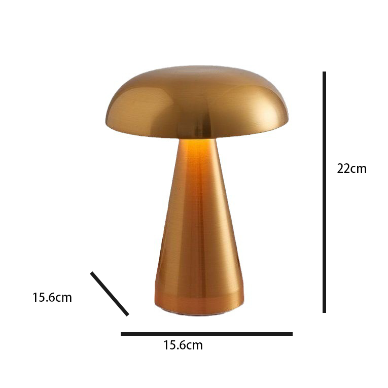 Stylish Metal Table Lamp | USB-C Rechargeable, Adjustable Light Intensity