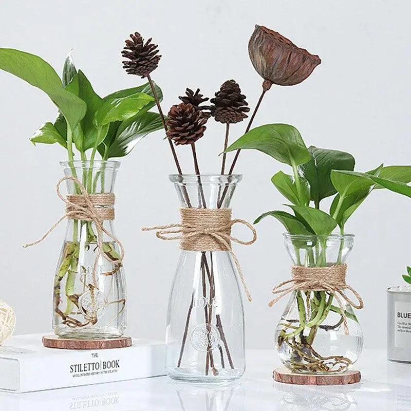 Minimalist Glass Vases | Elegant Table Decorations for Flowers and Hydroponics