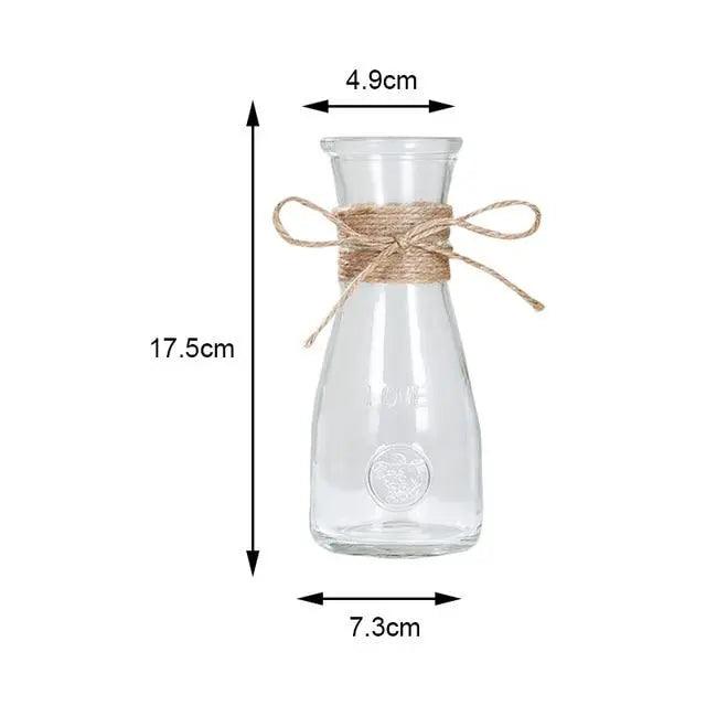 Minimalist Glass Vases | Elegant Table Decorations for Flowers and Hydroponics