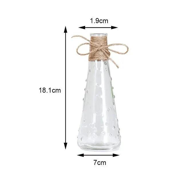 Minimalist Glass Vases | Elegant Table Decorations for Flowers and Hydroponics