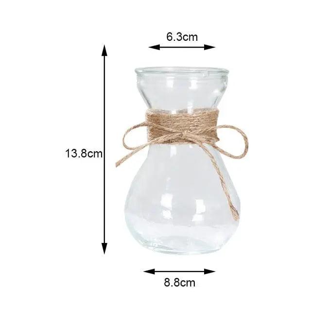 Minimalist Glass Vases | Elegant Table Decorations for Flowers and Hydroponics