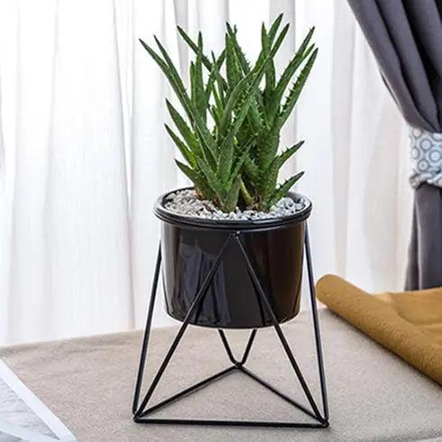 Ceramic Flowerpot with Iron Stand | Modern Planter for Air Plants & Succulents