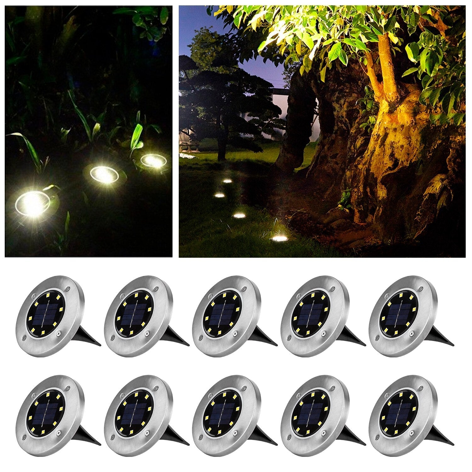 LED Solar Garden Lights | Deluxe Waterproof Outdoor Lighting